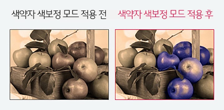 색약자 색보정 모드2