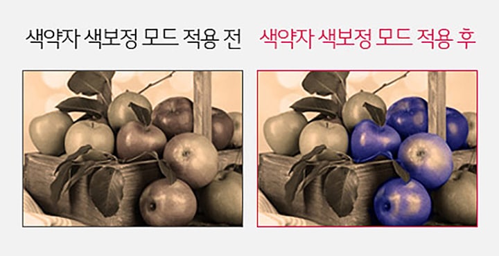 색약자 색보정 모드2
