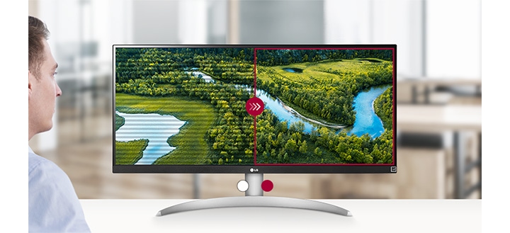 ＬＧモニター 29WQ600 LG 29WQ600-W UltraWide Monitor - 29