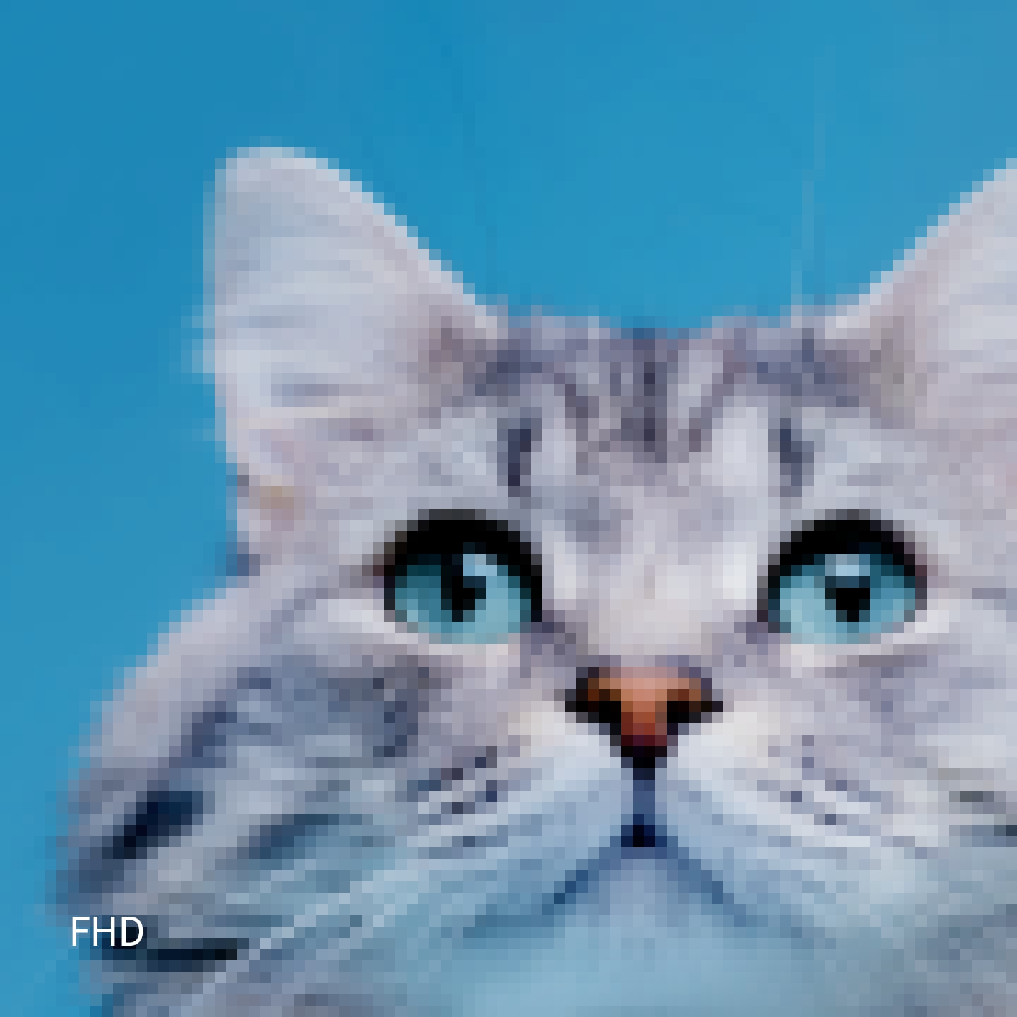 FHD