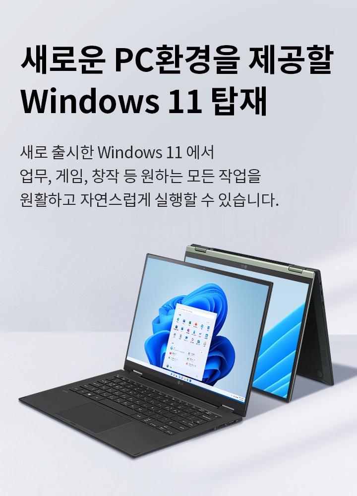 mo_banner_window11