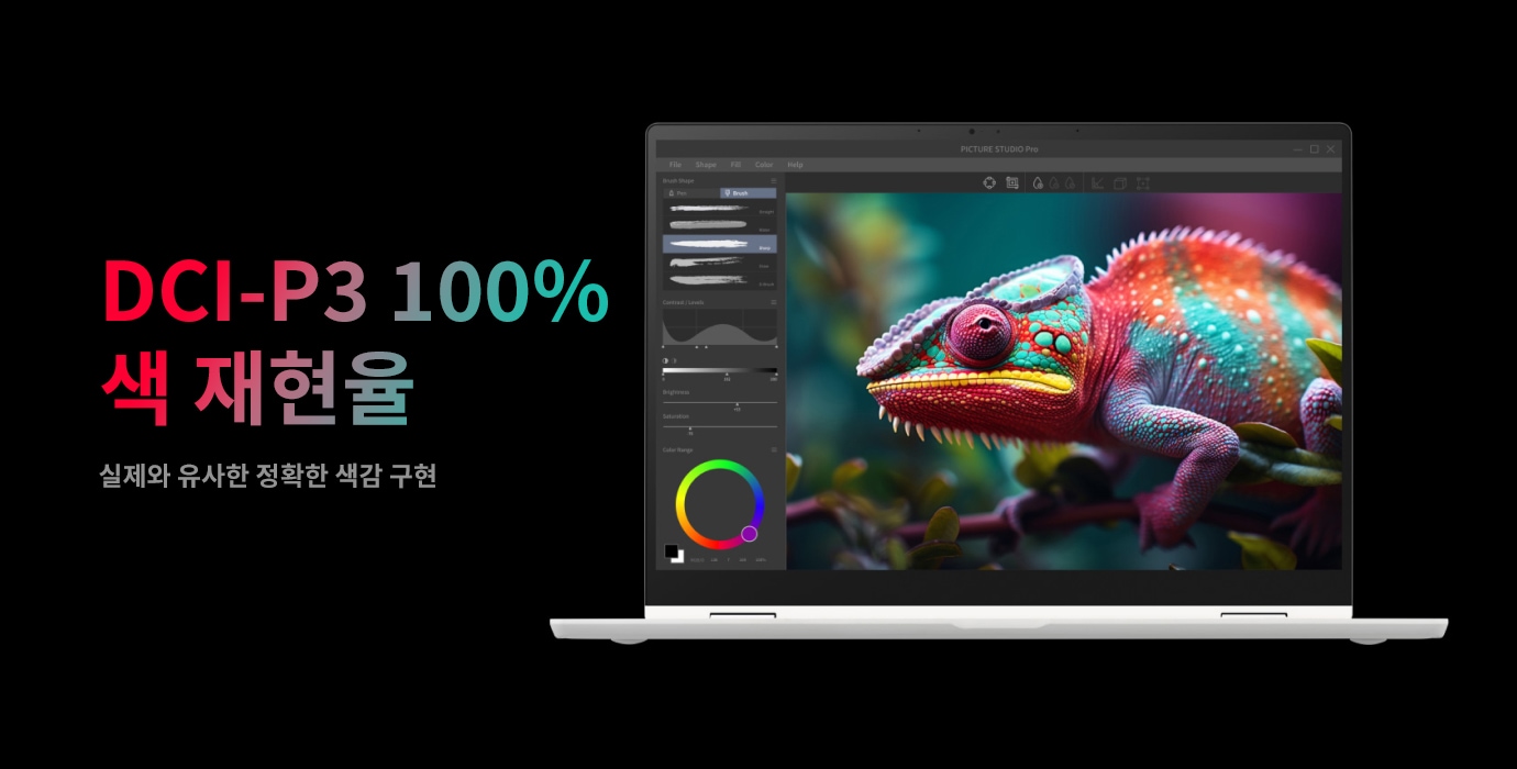 DCI-P3 100% 색 재현율이라는 문구와 함께 실제와 유사한 정확한 색감 구현이라는 설명이 있습니다. 노트북 화면에는 다채로운 색상의 카멜레온 이미지가 표시되어 있으며, 화면 왼쪽에는 브러시 모양, 명암 조절, 색상 범위 등을 설정할 수 있는 도구들이 보입니다.