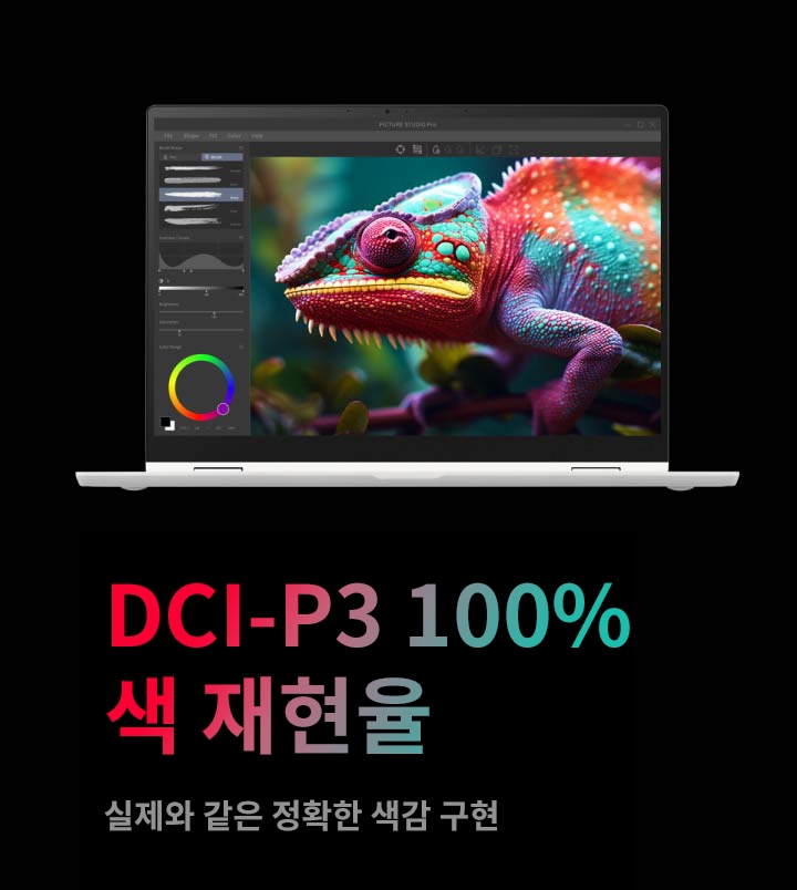 DCI-P3 100% 색 재현율이라는 문구와 함께 실제와 유사한 정확한 색감 구현이라는 설명이 있습니다. 노트북 화면에는 다채로운 색상의 카멜레온 이미지가 표시되어 있으며, 화면 왼쪽에는 브러시 모양, 명암 조절, 색상 범위 등을 설정할 수 있는 도구들이 보입니다.