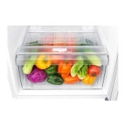 냉장고 LG 일반냉장고 (B187WM.AKOR) 썸네일이미지 7