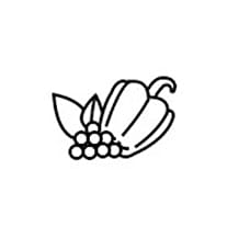 신선야채실 <#if counter!=0> 0</#if>