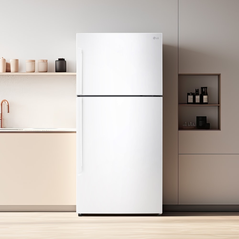 냉장고 LG 일반냉장고 (B602W33.AKOR) 메인이미지 1