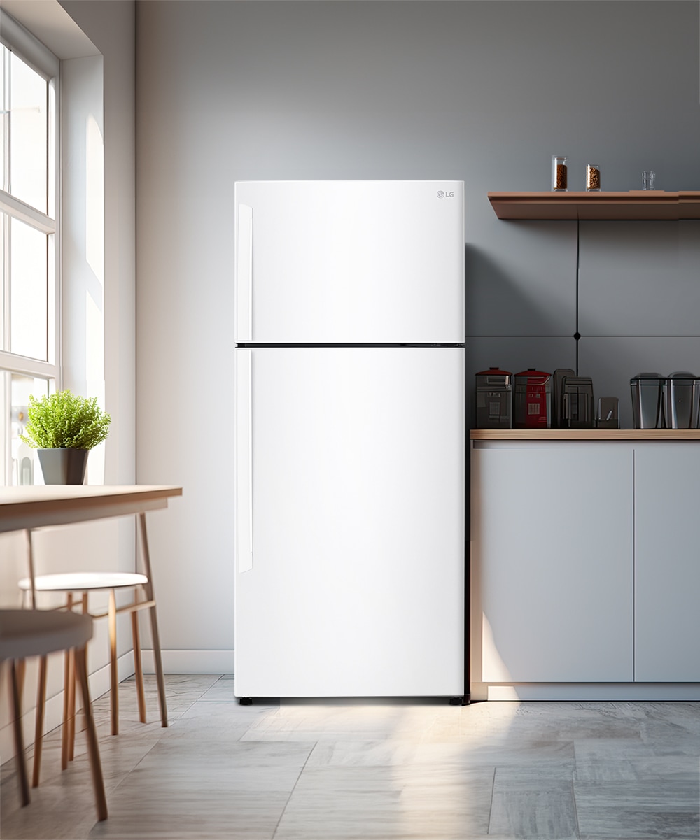 냉장고 LG 일반냉장고 (B502W33.AKOR) 메인이미지 0