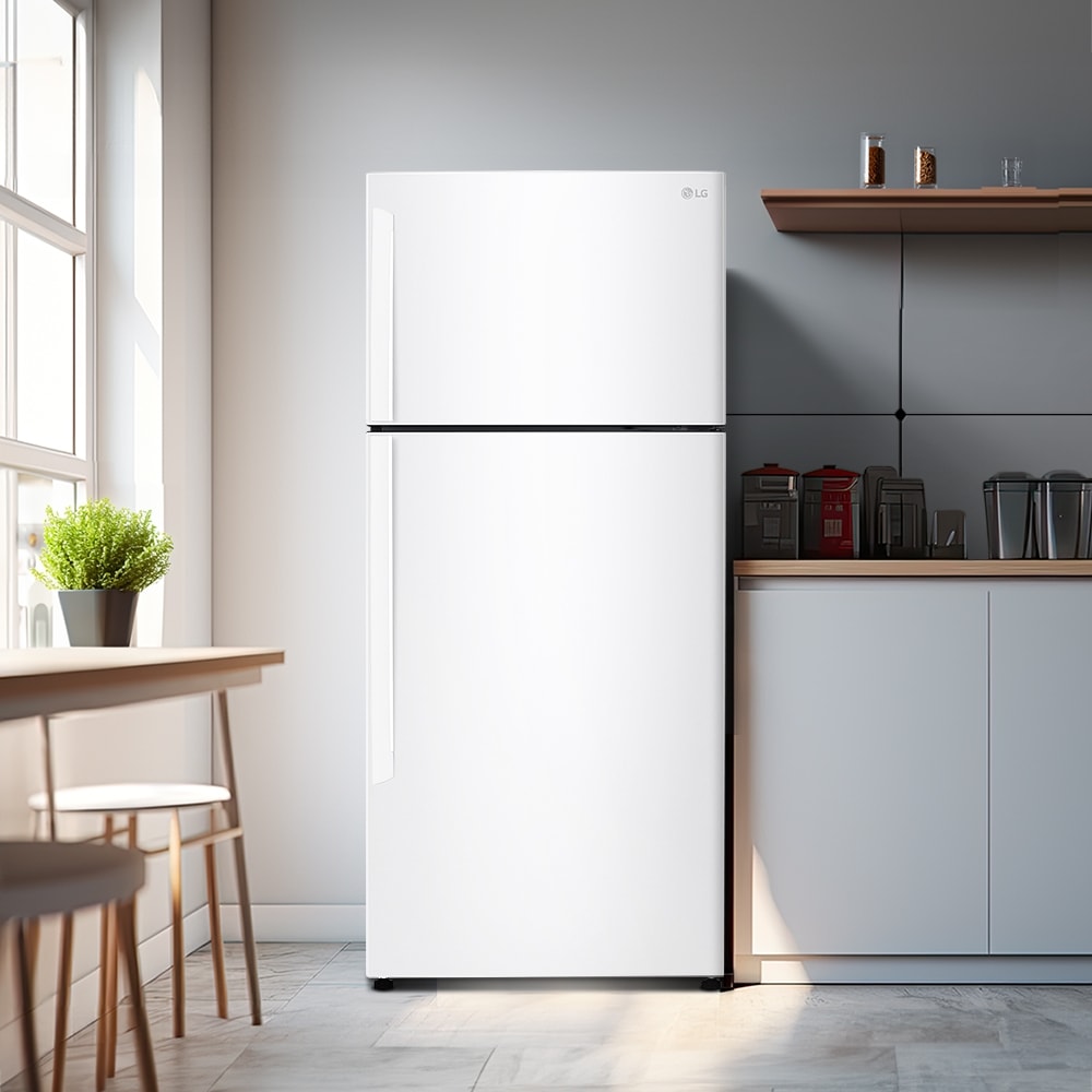 냉장고 LG 일반냉장고 (B502W33.AKOR) 메인이미지 1