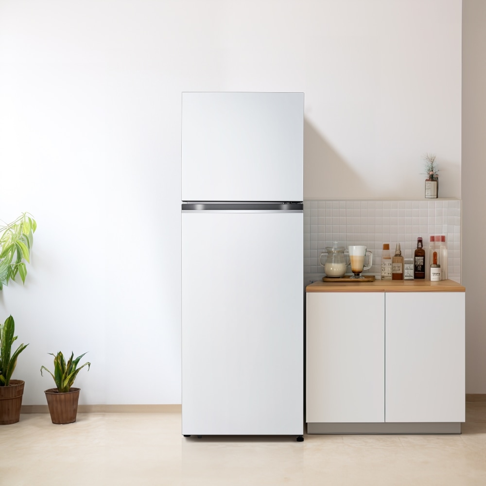 냉장고 LG 일반냉장고 (B332W34.AKOR) 메인이미지 0