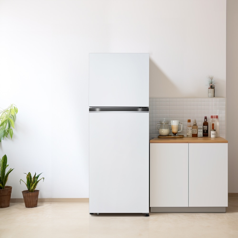 냉장고 LG 일반냉장고 (B312W31.AKOR) 메인이미지 1