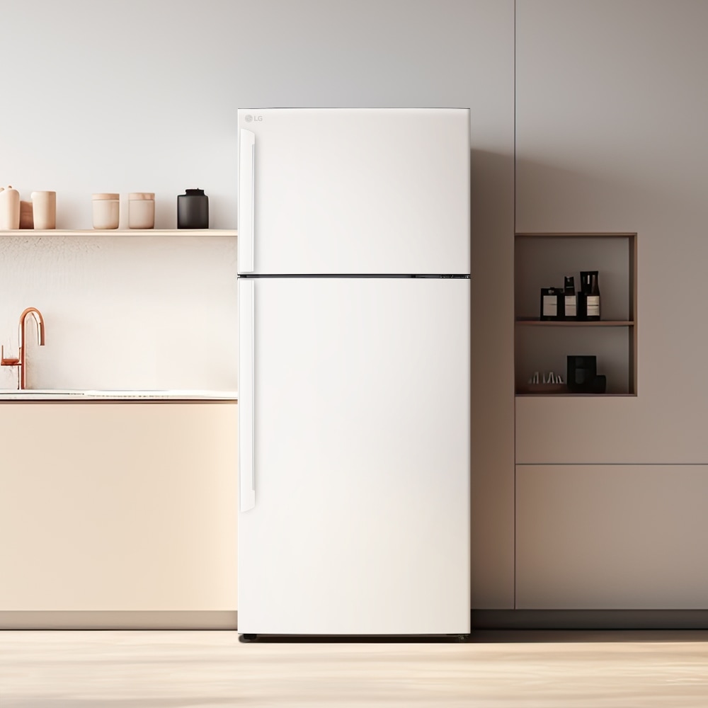 냉장고 LG 일반냉장고 오브제컬렉션 (D502MEE33.AKOR) 메인이미지 1