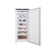 냉장고 LG 냉동고 (A202W.AKOR) 썸네일이미지 5