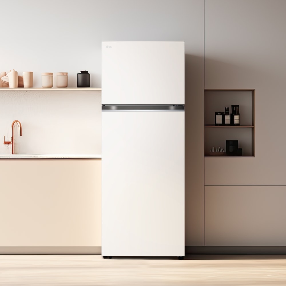 냉장고 LG 일반냉장고 오브제컬렉션 (D463MEE33.AKOR) 메인이미지 1