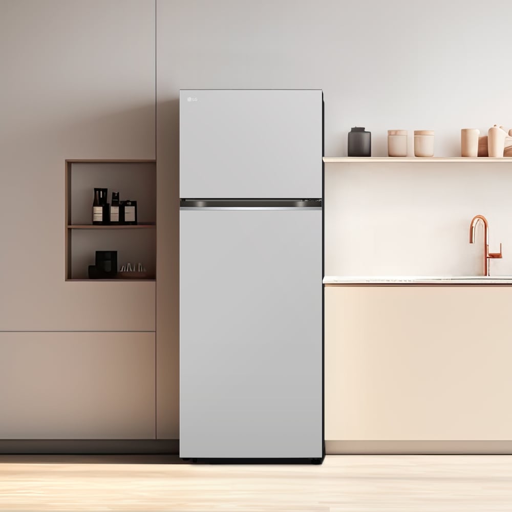 냉장고 LG 일반냉장고 오브제컬렉션 (D463MRR33.AKOR) 메인이미지 1