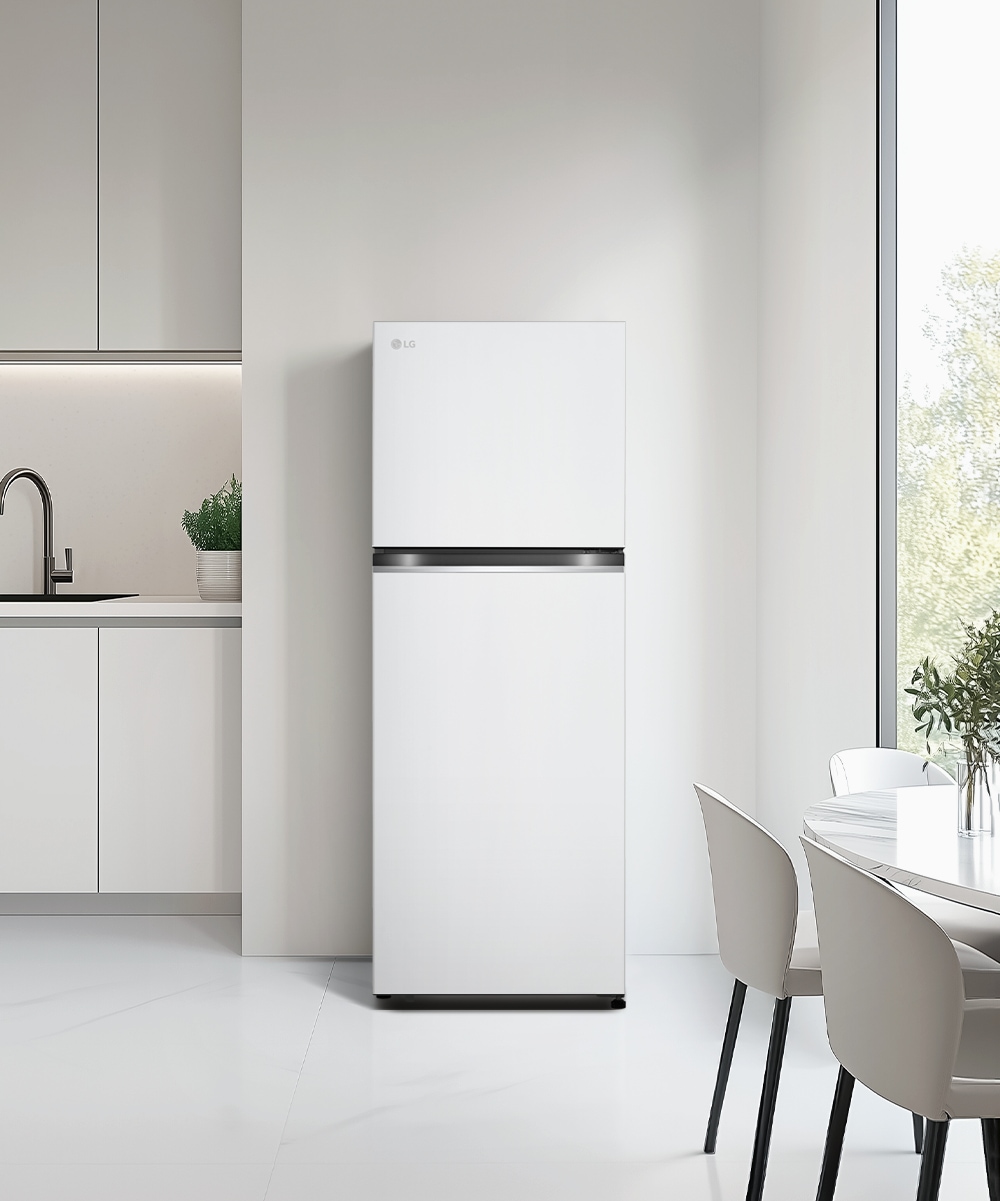 냉장고 LG 일반냉장고 (B315W11.AKOR) 메인이미지 0