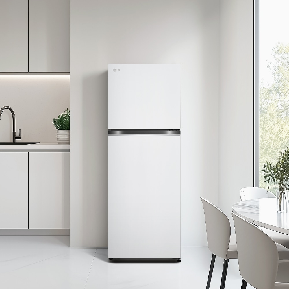 냉장고 LG 일반냉장고 (B315W11.AKOR) 메인이미지 1