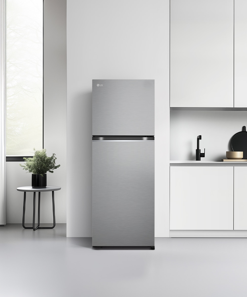 냉장고 LG 일반냉장고 (B315DS11.AKOR) 메인이미지 0