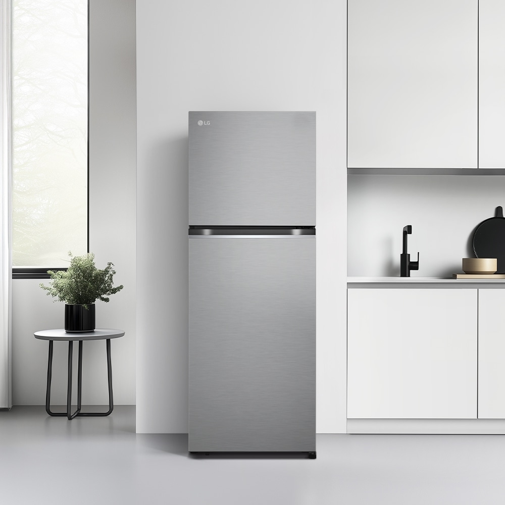 냉장고 LG 일반냉장고 (B315DS11.AKOR) 메인이미지 1