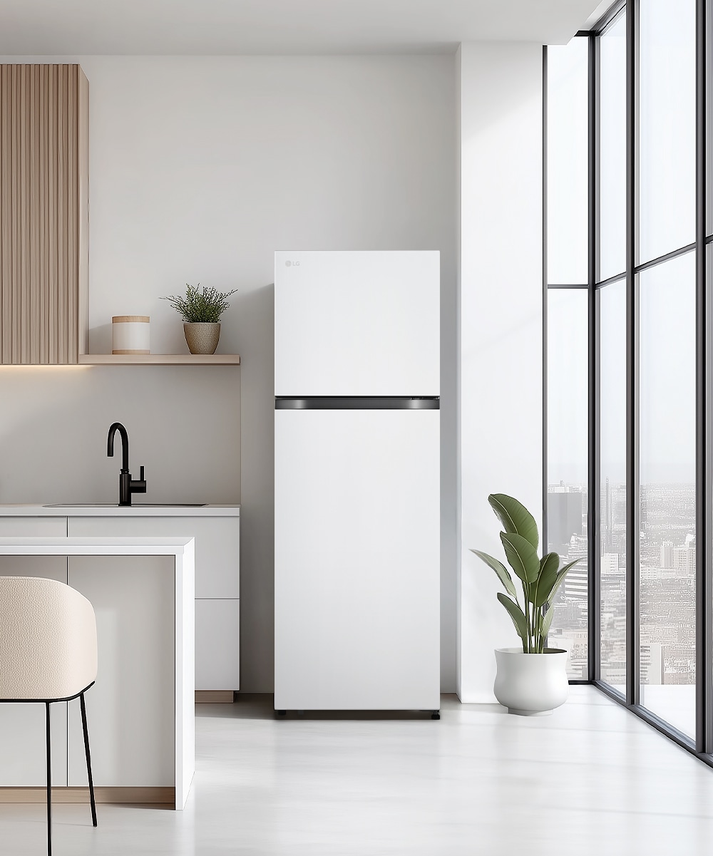 냉장고 LG 일반냉장고 (B245W22.AKOR) 메인이미지 0