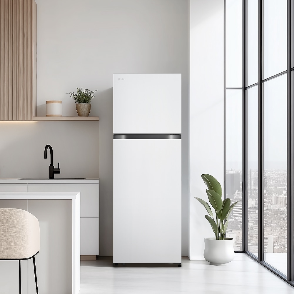 냉장고 LG 일반냉장고 (B245W22.AKOR) 메인이미지 1