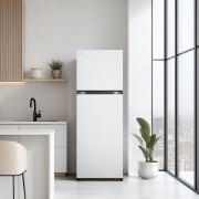 냉장고 LG 일반냉장고 (B245W22.AKOR) 썸네일이미지 1