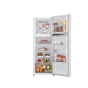 냉장고 LG 일반냉장고 (B245W22.AKOR) 썸네일이미지 6