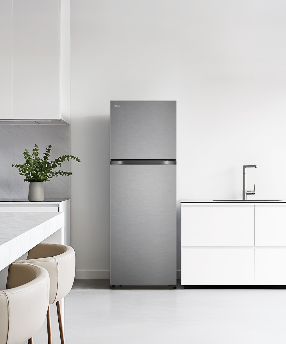 냉장고 LG 일반냉장고 (B245DS22.AKOR) 메인이미지 0