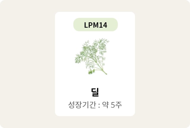 이미지에는 LPM14라는 텍스트가 상단에 있고, 중앙에 딜 그림이 있습니다. 딜이라는 글자와 함께 성장기간: 약 5주라는 텍스트가 있습니다. 배경은 연한 색상입니다.
