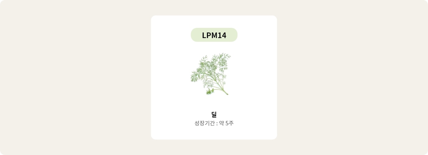 이미지에는 LPM14라는 텍스트가 상단에 있고, 중앙에 딜 그림이 있습니다. 딜이라는 글자와 함께 성장기간: 약 5주라는 텍스트가 있습니다. 배경은 연한 색상입니다.