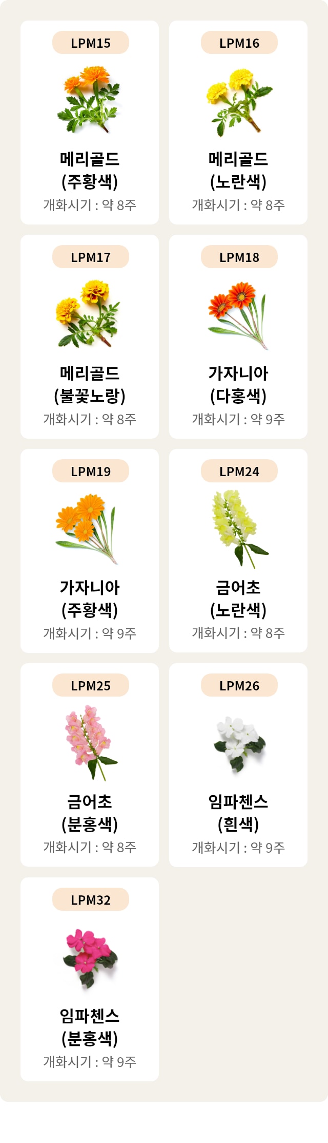 이미지는 다양한 꽃의 종류와 개화 시기를 보여줍니다. LPM15는 주황색 메리골드로 개화 시기는 약 8주입니다. LPM16은 노란색 메리골드로 개화 시기는 약 8주입니다. LPM17은 꽃이 노란색인 메리골드로 개화 시기는 약 8주입니다. LPM18은 다홍색 가자니아로 개화 시기는 약 9주입니다. LPM19는 주황색 가자니아로 개화 시기는 약 9주입니다. LPM24는 노란색 금어초로 개화 시기는 약 8주입니다. LPM25는 분홍색 금어초로 개화 시기는 약 8주입니다. LPM26은 흰색 임파첸스로 개화 시기는 약 9주입니다. LPM32는 분홍색 임파첸스로 개화 시기는 약 9주입니다. 각 꽃의 이미지는 배경이 단순한 색상으로 되어 있습니다.
