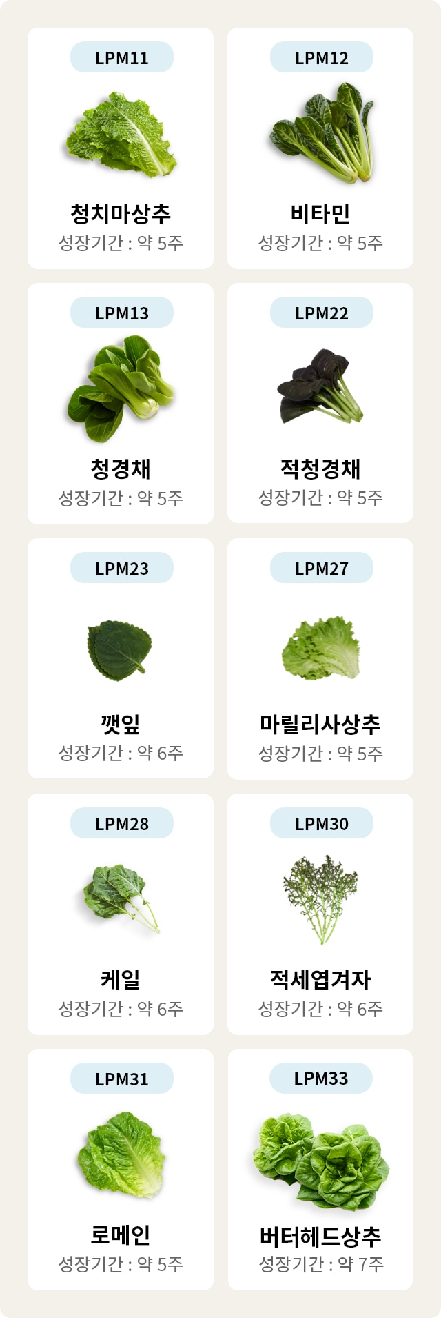 "이미지에는 다양한 채소들이 각각의 상자 안에 배치되어 있습니다. 각 상자에는 채소의 이름과 성장 기간이 표시되어 있습니다.   - LPM11: 청치마상추, 성장기간: 약 5주 - LPM12: 비타민, 성장기간: 약 5주 - LPM13: 청경채, 성장기간: 약 5주 - LPM22: 적경채, 성장기간: 약 5주 - LPM23: 깻잎, 성장기간: 약 6주 - LPM27: 마르퀴사상추, 성장기간: 약 5주 - LPM28: 케일, 성장기간: 약 6주 - LPM30: 적세엽겨자, 성장기간: 약 6주 - LPM31: 로메인, 성장기간: 약 5주  채소들은 각각의 이름과 성장 기간에 따라 정리되어 있습니다."