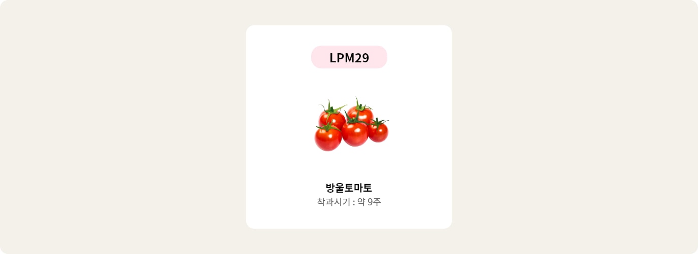 이미지에는 LPM29라는 텍스트가 상단에 있고, 중앙에는 여러 개의 붉은 방울토마토가 있습니다.  방울토마토와 착과시기: 약 9주라는 텍스트가 있습니다. 배경은 연한 색상입니다.