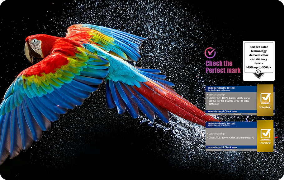 검은색 배경에 초고화질의 컬러풀한 앵무새가 보여집니다. 각종 인증 로고가 있습니다. 상세내용은 하단 참고.