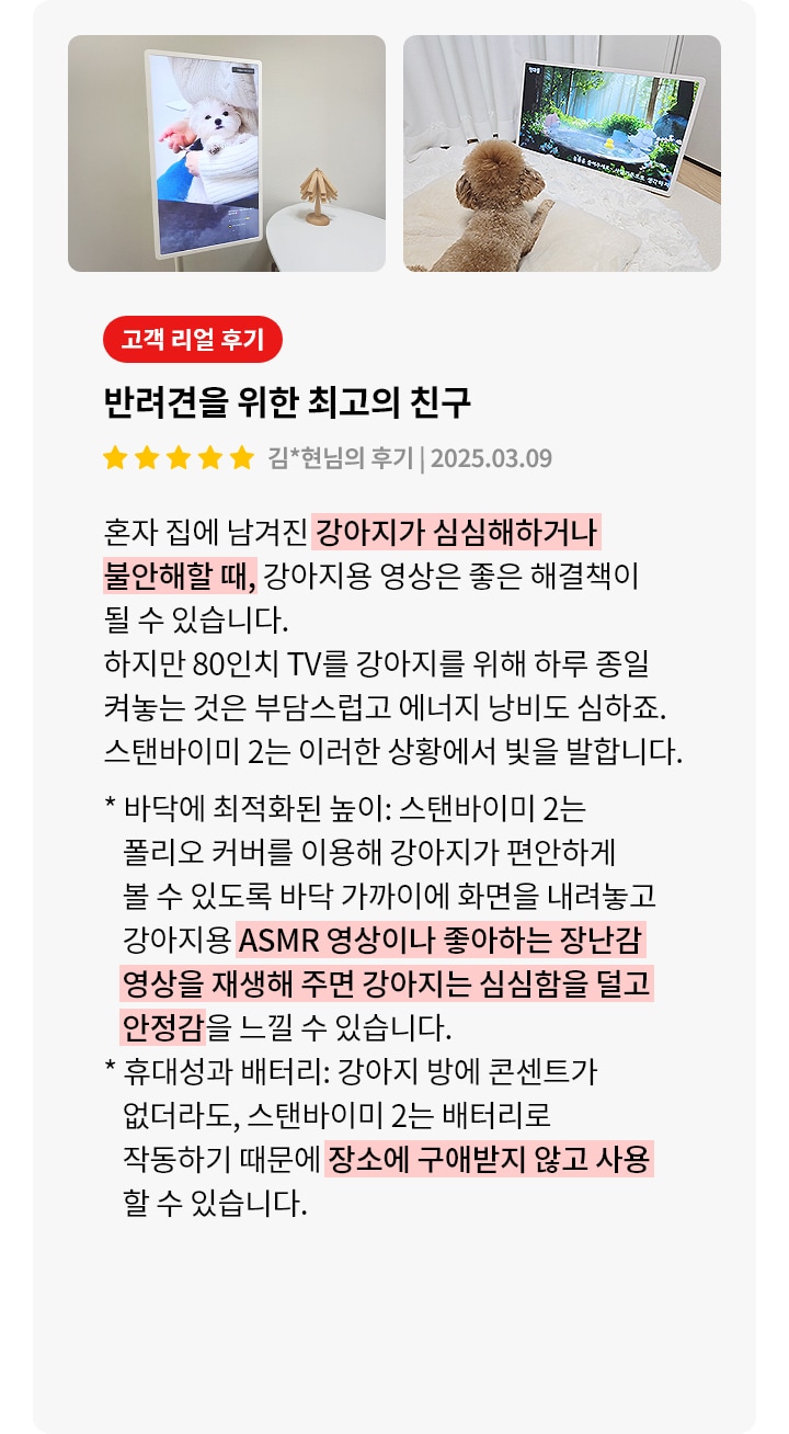 스탠바이미2에 대한 리뷰 컨텐츠입니다. 첫번째 리뷰 사진에는 스탠드에 세워진 디지털 액자에 강아지가 담요를 덮고 있는 모습이 보입니다. 두번째 리뷰 사진에는 푹신한 매트 위에 앉아 있는 갈색 푸들이 TV를 바라보고 있습니다. 상세내용은 하단 참고.