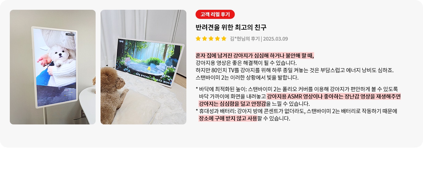 스탠바이미2에 대한 리뷰 컨텐츠입니다. 첫번째 리뷰 사진에는 스탠드에 세워진 디지털 액자에 강아지가 담요를 덮고 있는 모습이 보입니다. 두번째 리뷰 사진에는 푹신한 매트 위에 앉아 있는 갈색 푸들이 TV를 바라보고 있습니다. 상세내용은 하단 참고.