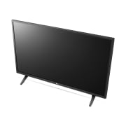 TV LG 일반 LED TV (스탠드형) (43LM561CS.AKRQ) 썸네일이미지 7