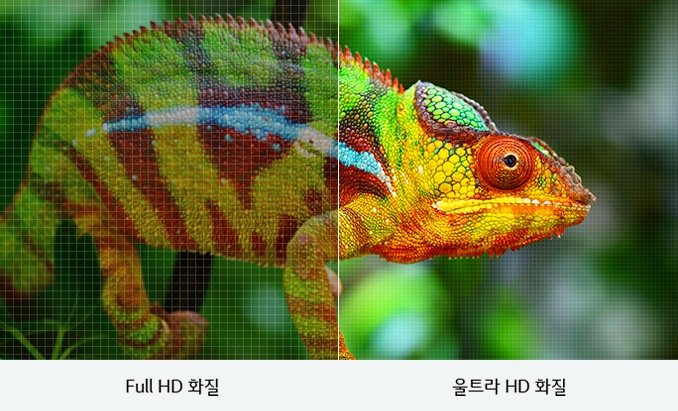 울트라 HD화질은2