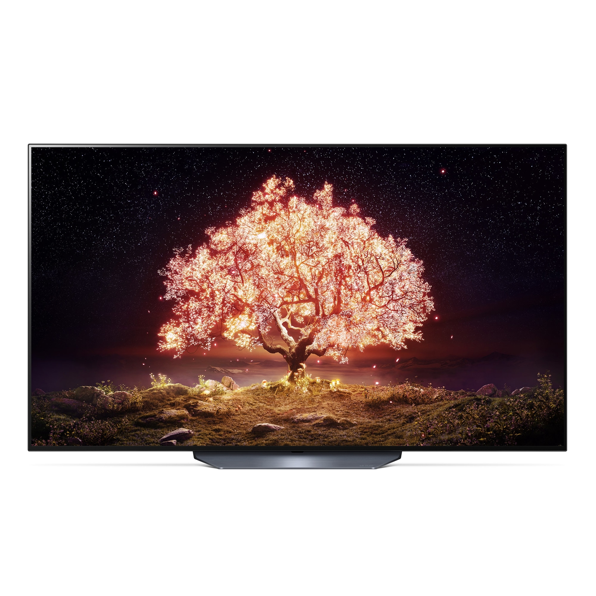 TV LG 올레드 TV (스탠드형) (OLED65B1FS.AKRG) 줌이미지 0