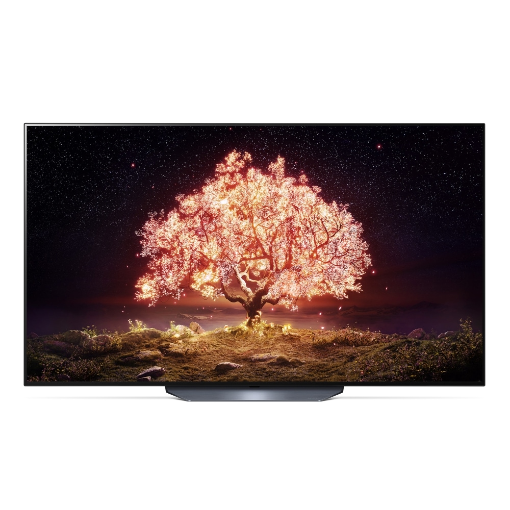 TV LG 올레드 TV (스탠드형) (OLED65B1FS.AKRG) 메인이미지 0