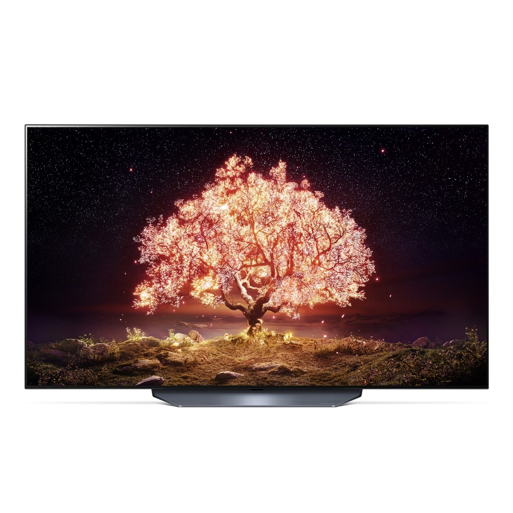 TV LG 올레드 TV(스탠드형) (OLED55B1FS.AKRG) 메인이미지 0