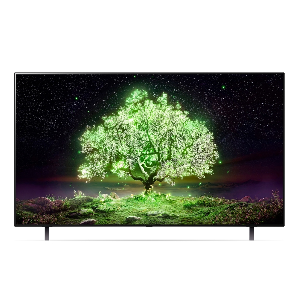 TV LG 올레드 TV (스탠드형) (OLED65A1MS.AKRG) 메인이미지 0