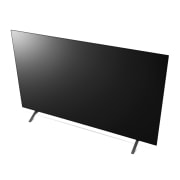 TV LG 올레드 TV (스탠드형) (OLED65A1MS.AKRG) 썸네일이미지 7