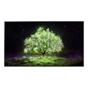 TV LG 올레드 TV(벽걸이) (OLED55A1MW.AKRG) 썸네일이미지 0