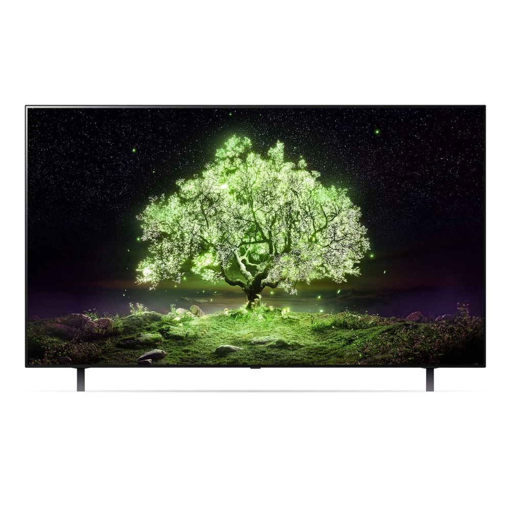 TV LG 올레드 TV(스탠드) (OLED65A1HS.AKRG) 메인이미지 0
