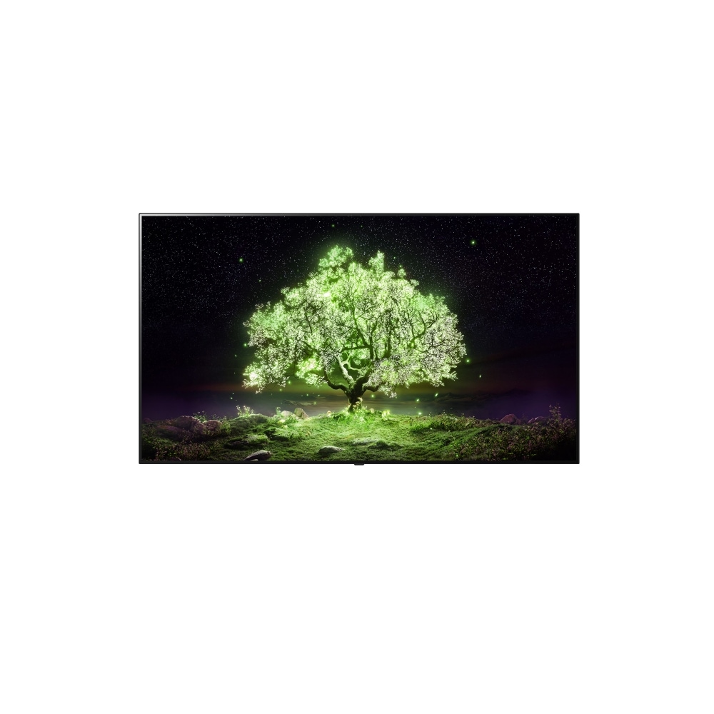 TV LG 올레드 TV(벽걸이) (OLED65A1JW.AKRG) 메인이미지 0
