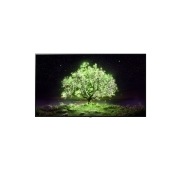 TV LG 올레드 TV(벽걸이) (OLED65A1JW.AKRG) 썸네일이미지 0