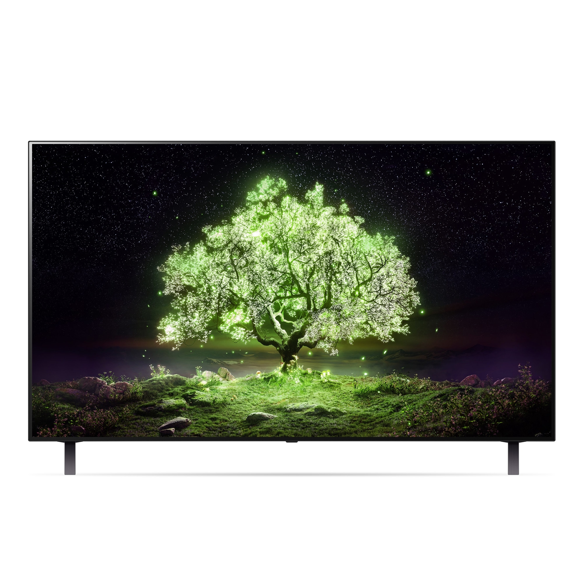 TV LG 올레드 TV(스탠드) (OLED48A1ES.AKRG) 줌이미지 0