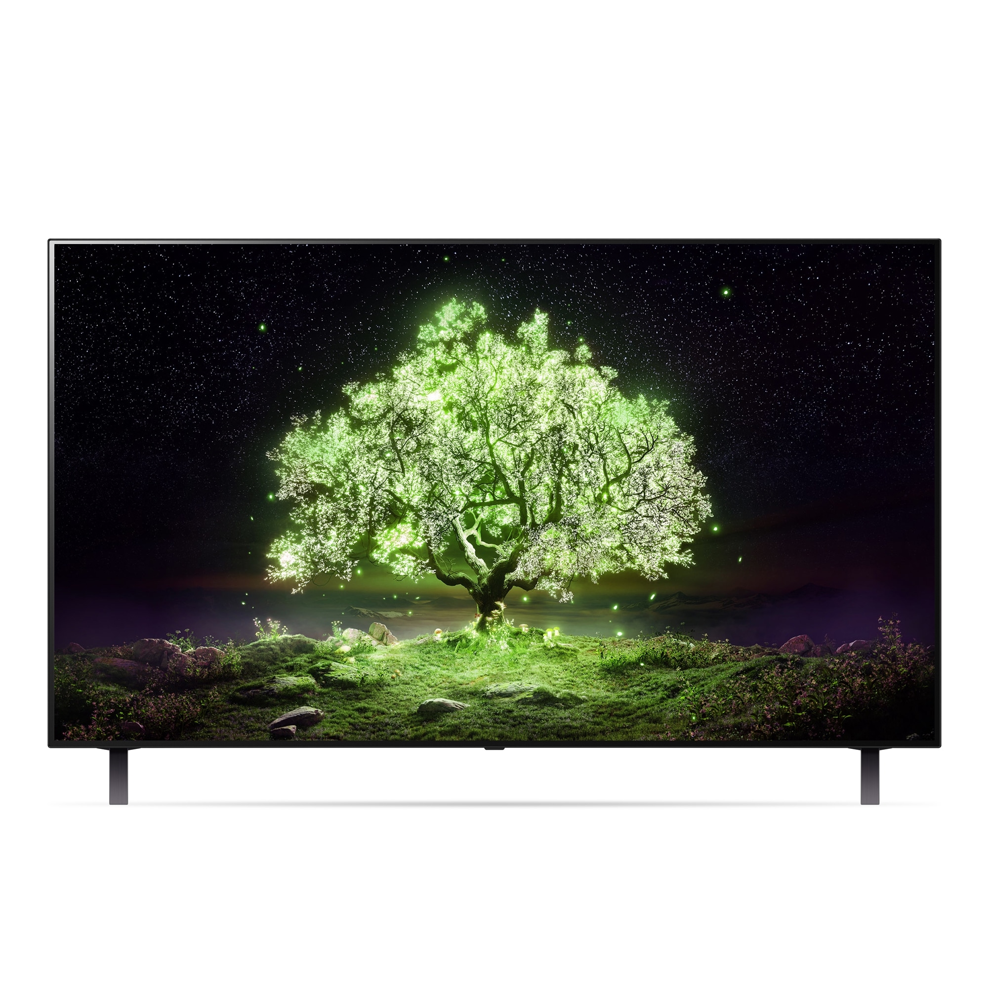 TV LG 올레드 TV (스탠드형) (OLED48A1ES.AKRG) 줌이미지 1
