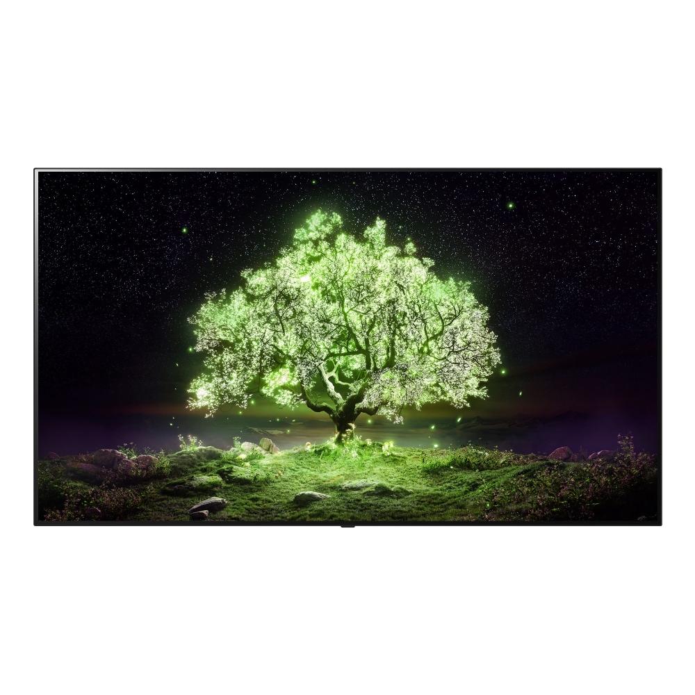 TV LG 올레드 TV(벽걸이) (OLED48A1KW.AKRG) 메인이미지 0