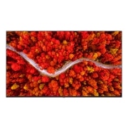TV LG 울트라 HD TV (벽걸이형) (50UR642SW.AKRD) 썸네일이미지 0